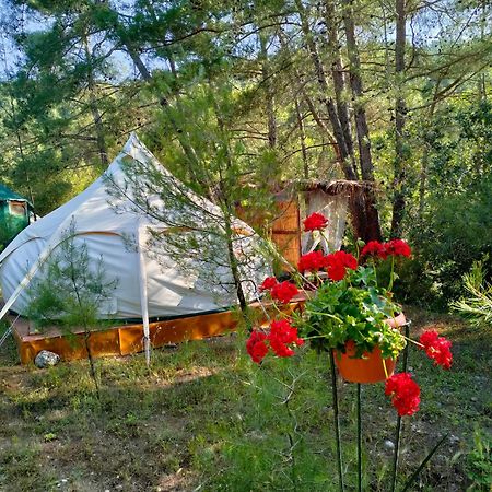 Vinsan Glamping & Wellness Centre 호텔 Eleousa 외부 사진