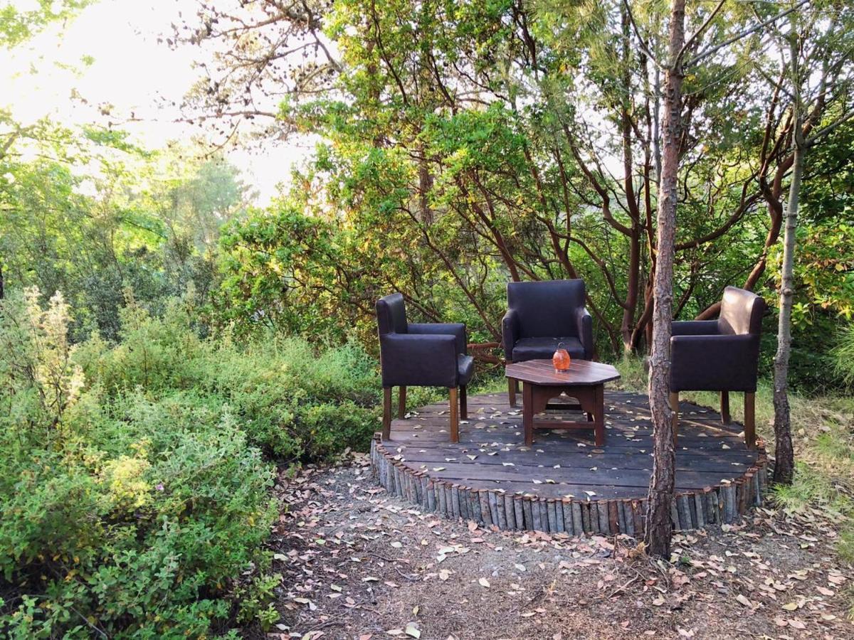 Vinsan Glamping & Wellness Centre 호텔 Eleousa 외부 사진