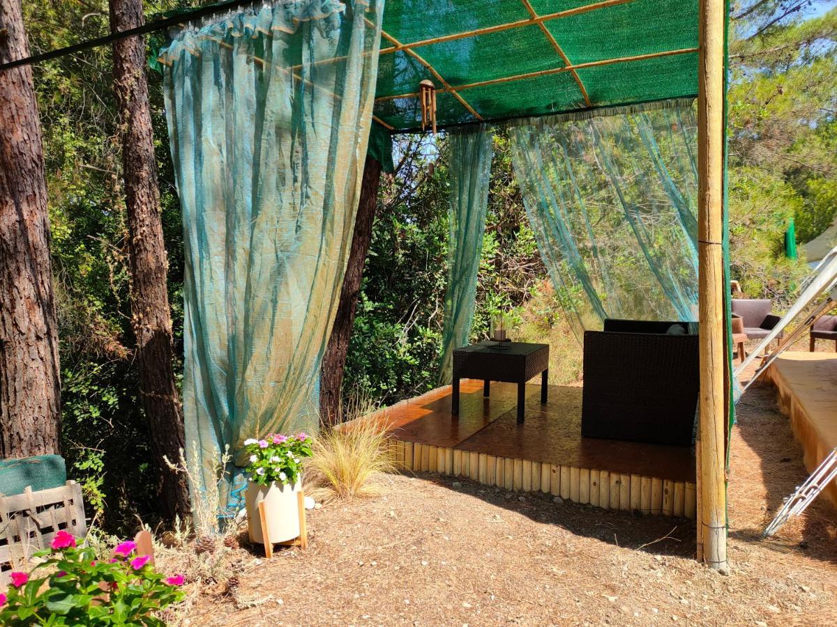Vinsan Glamping & Wellness Centre 호텔 Eleousa 외부 사진