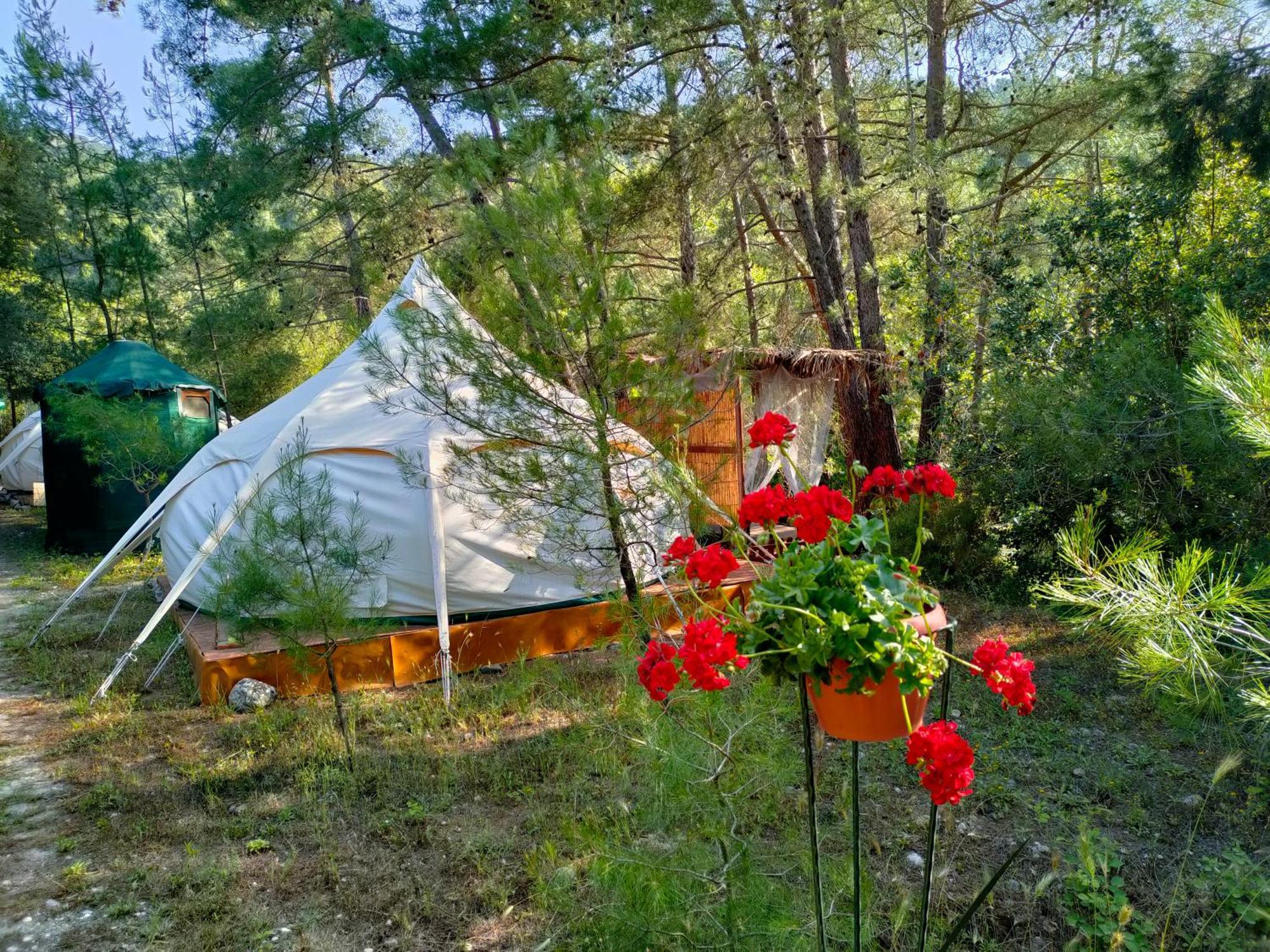 Vinsan Glamping & Wellness Centre 호텔 Eleousa 외부 사진