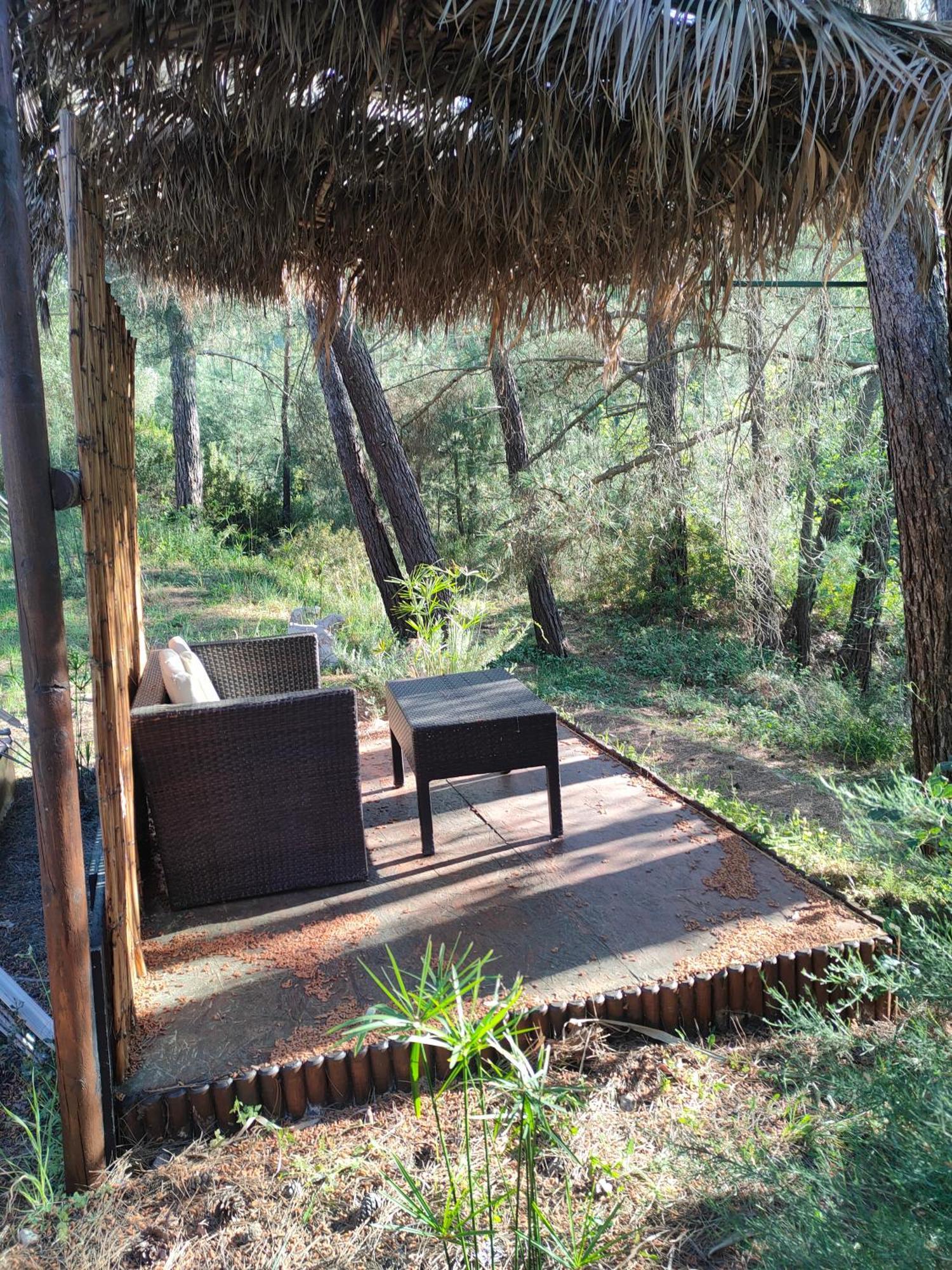 Vinsan Glamping & Wellness Centre 호텔 Eleousa 외부 사진