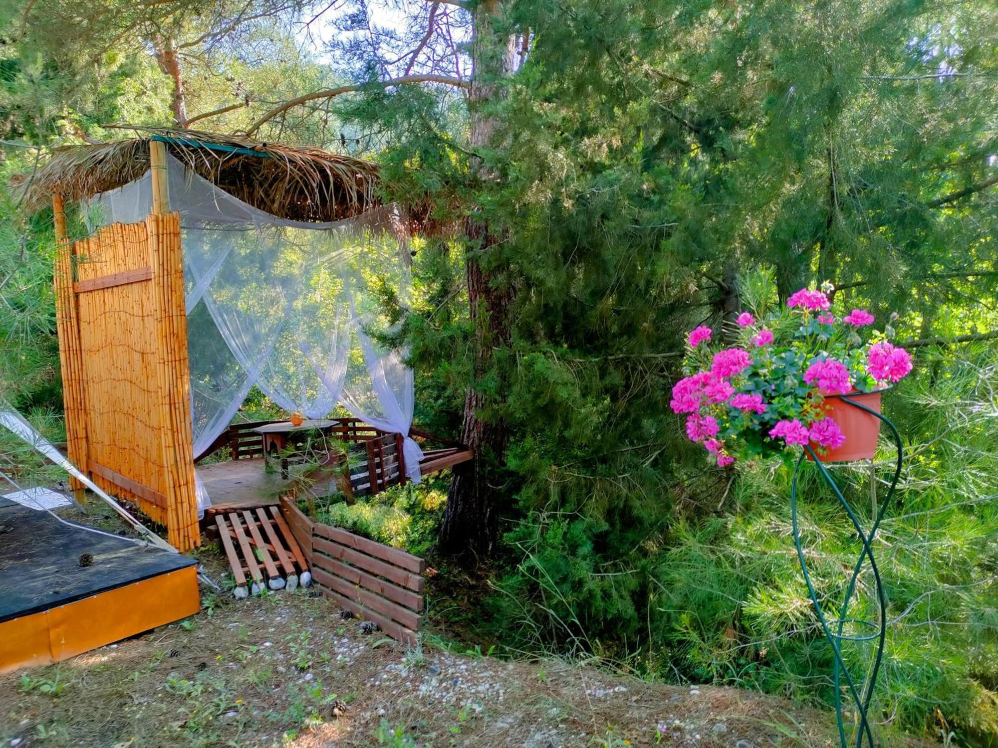 Vinsan Glamping & Wellness Centre 호텔 Eleousa 외부 사진